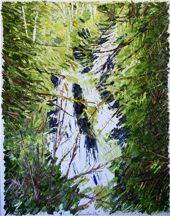 Chutes
